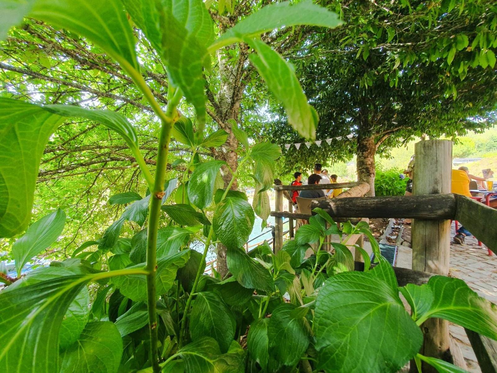 Casa Elbi Vila Figueiro Dos Vinhos Exterior foto